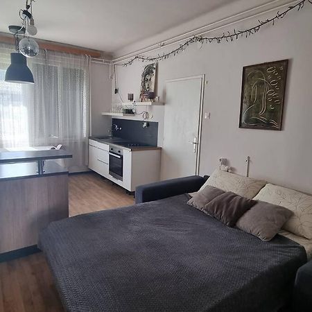 Cosy 2 Room Apartment With Nice Vibe, For Up To 4 Lublaň Exteriér fotografie